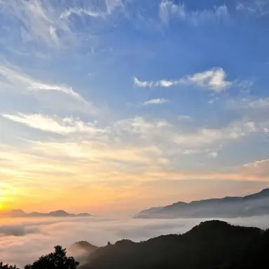 Profile image of 自由