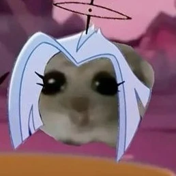 루트