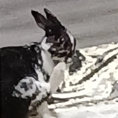 Profile image of Kiira