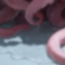 Profile image of Tentacle Unit