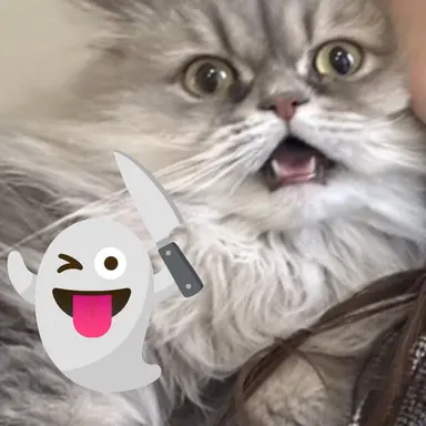 Profile image of 小柳ロウ