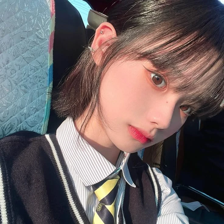 최 설