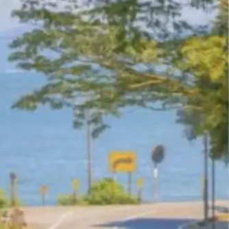 Profile image of 大森元貴
