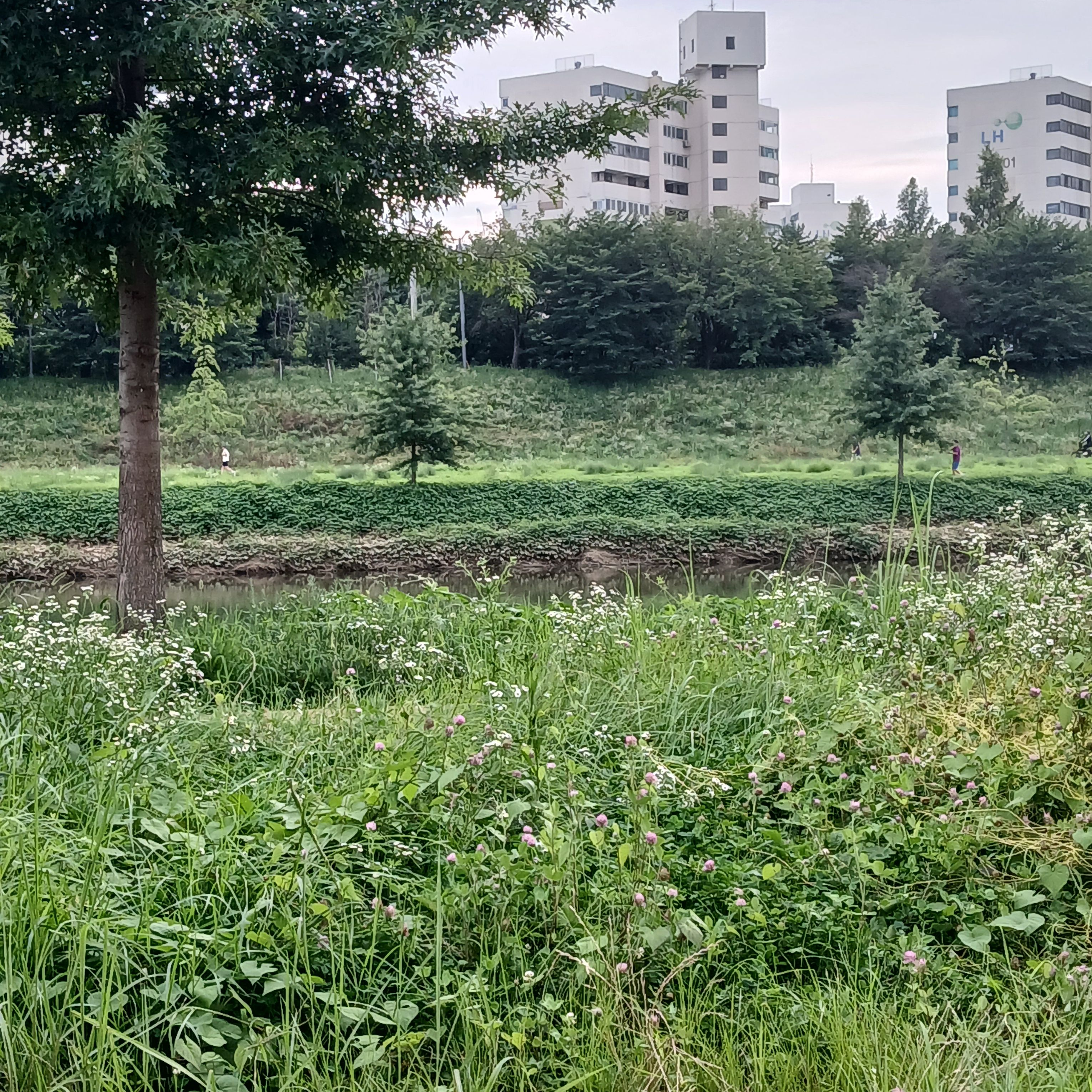 팀나빠 학교 +여우 대표 이미지