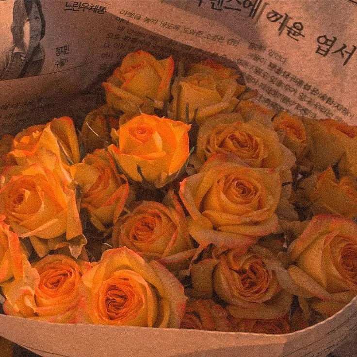 박 영환