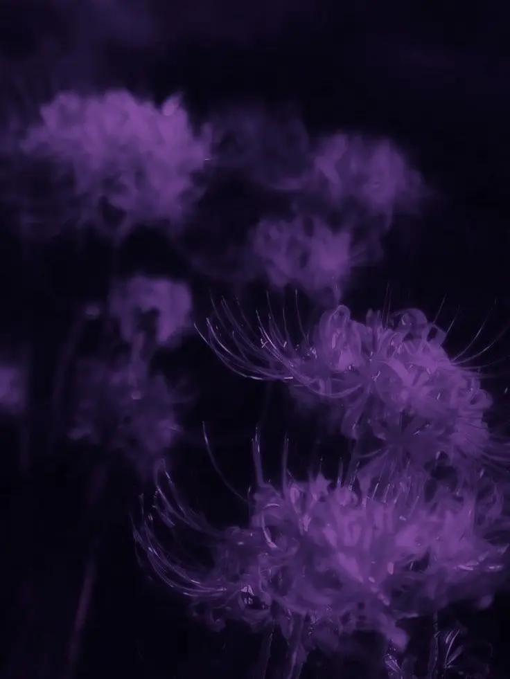 johan_luv1108의 神様仏様