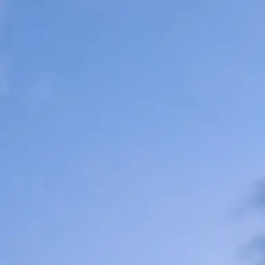 Profile image of フォックス