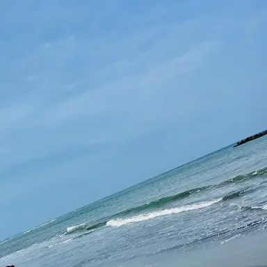 Profile image of 死柄木