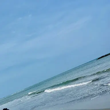 Profile image of 荼毘