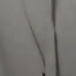 갠용 대표 이미지
