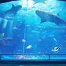 Profile image of 水族館バイト