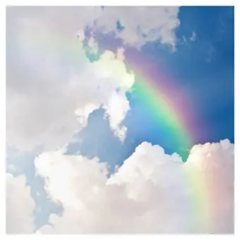 Profile image of 모찌엘