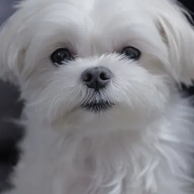 Profile image of user