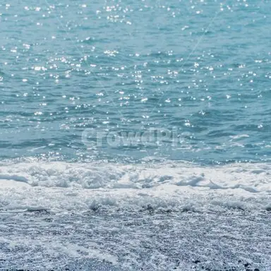 Profile image of 잠뜰