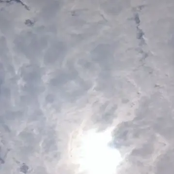 GrossIce2411의 내맘대로 할까!!