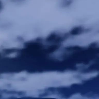 Profile image of 김변태
