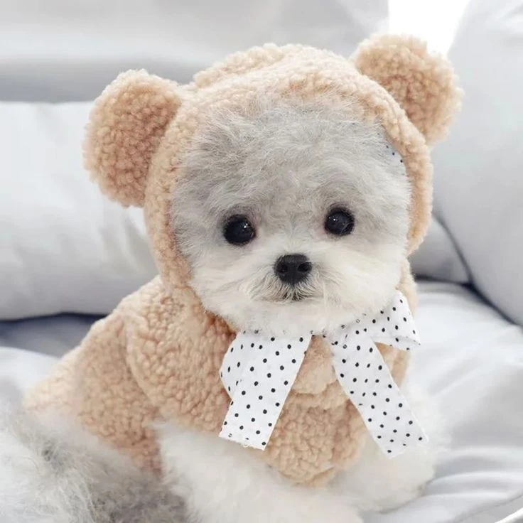 냐냐