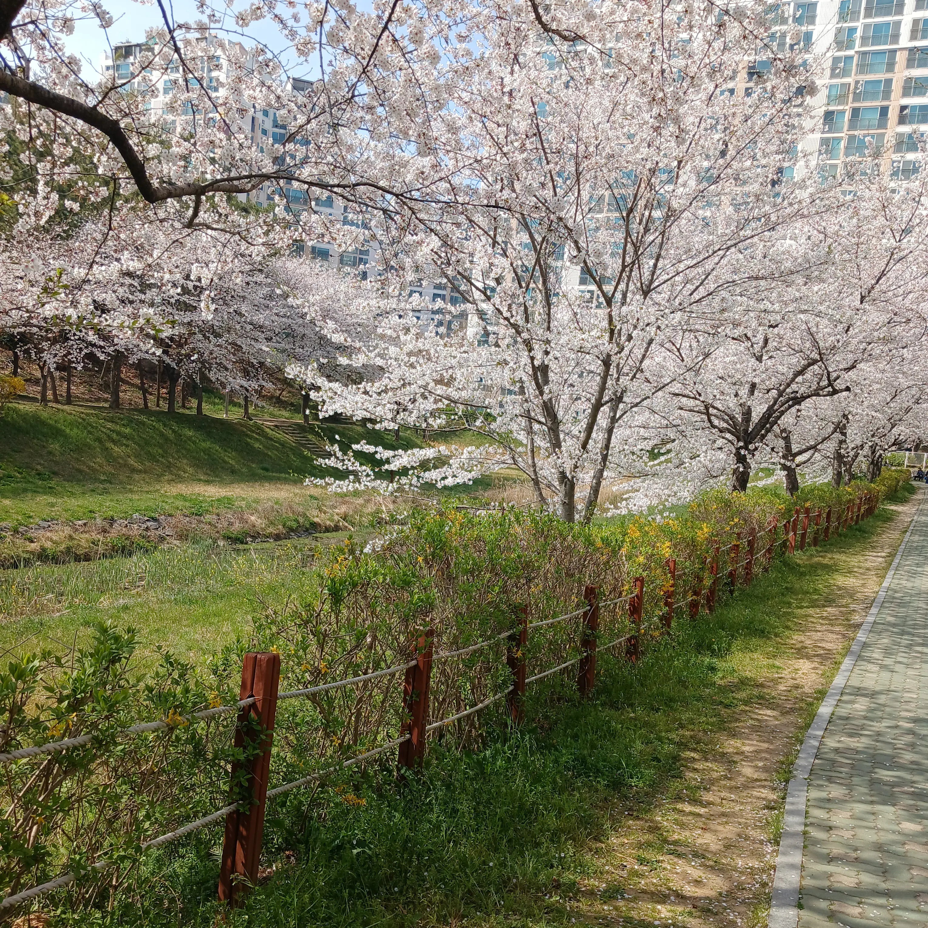 ChewyNurse7167의 궎 순 엉