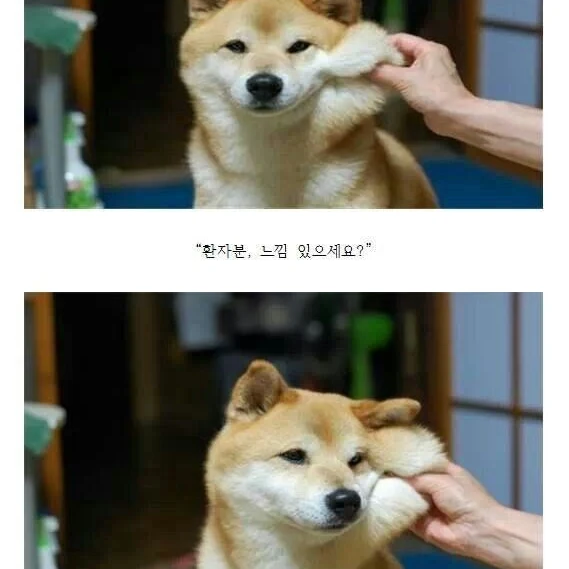 유진