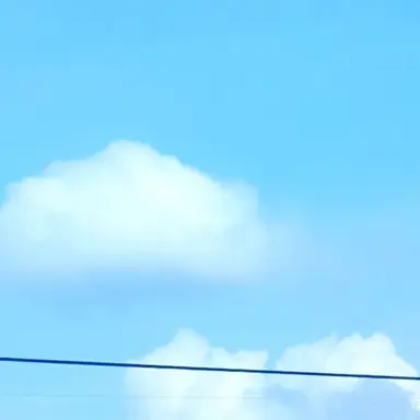 Profile image of 강지