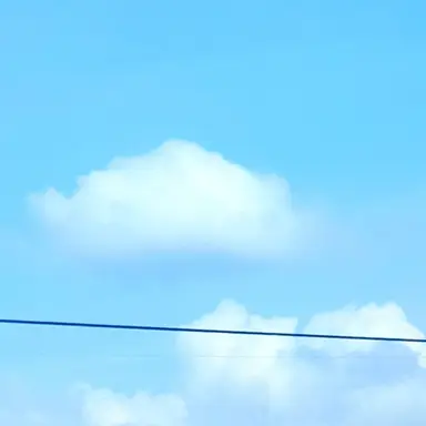 Profile image of 강지