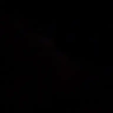 Profile image of タキ