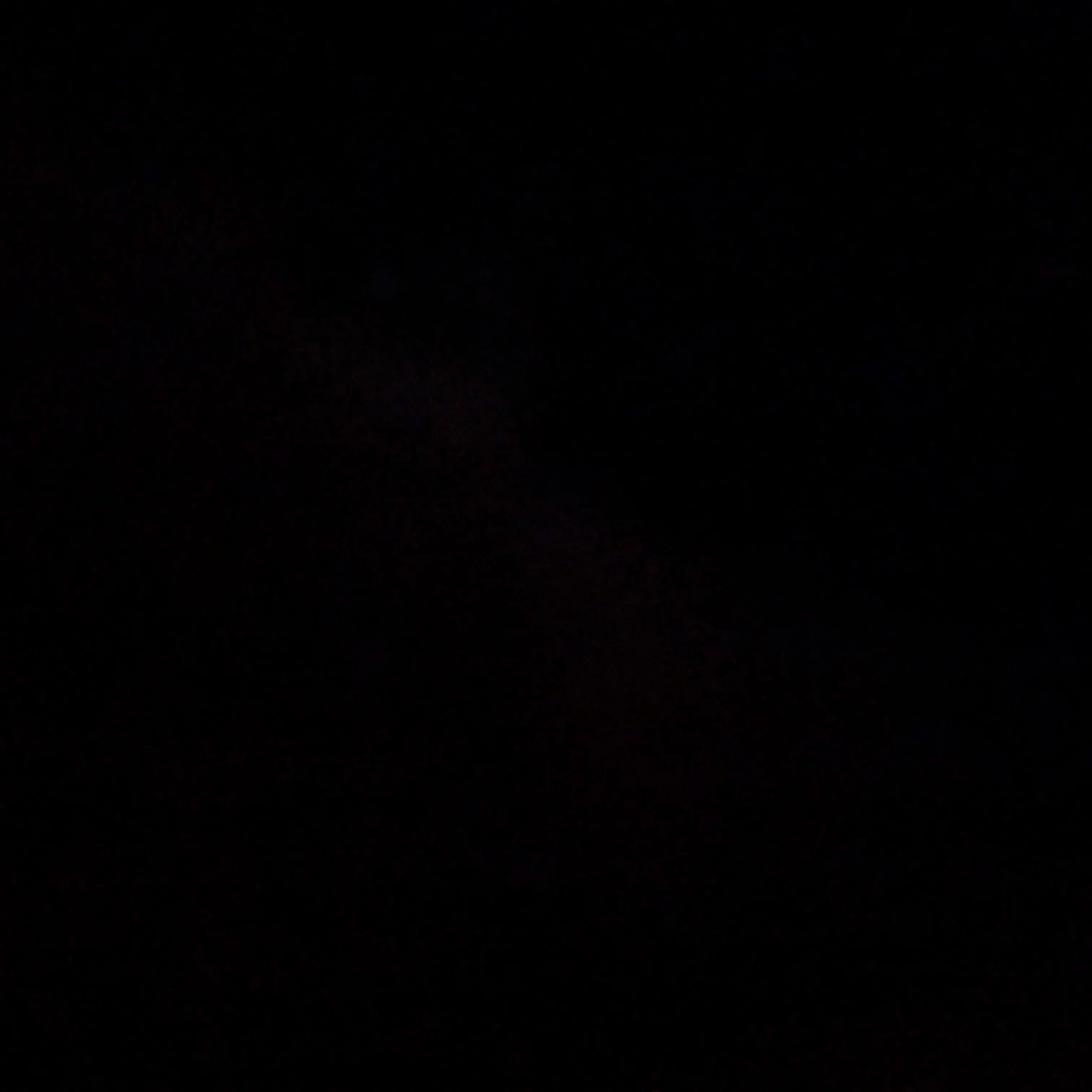 BriskBleed9927의 タキ