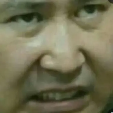 Profile image of 여우