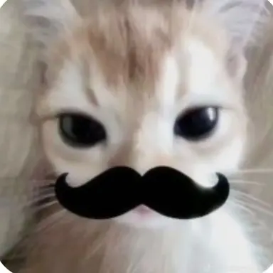 Profile image of 죠타로