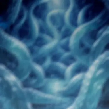 Profile image of 触手