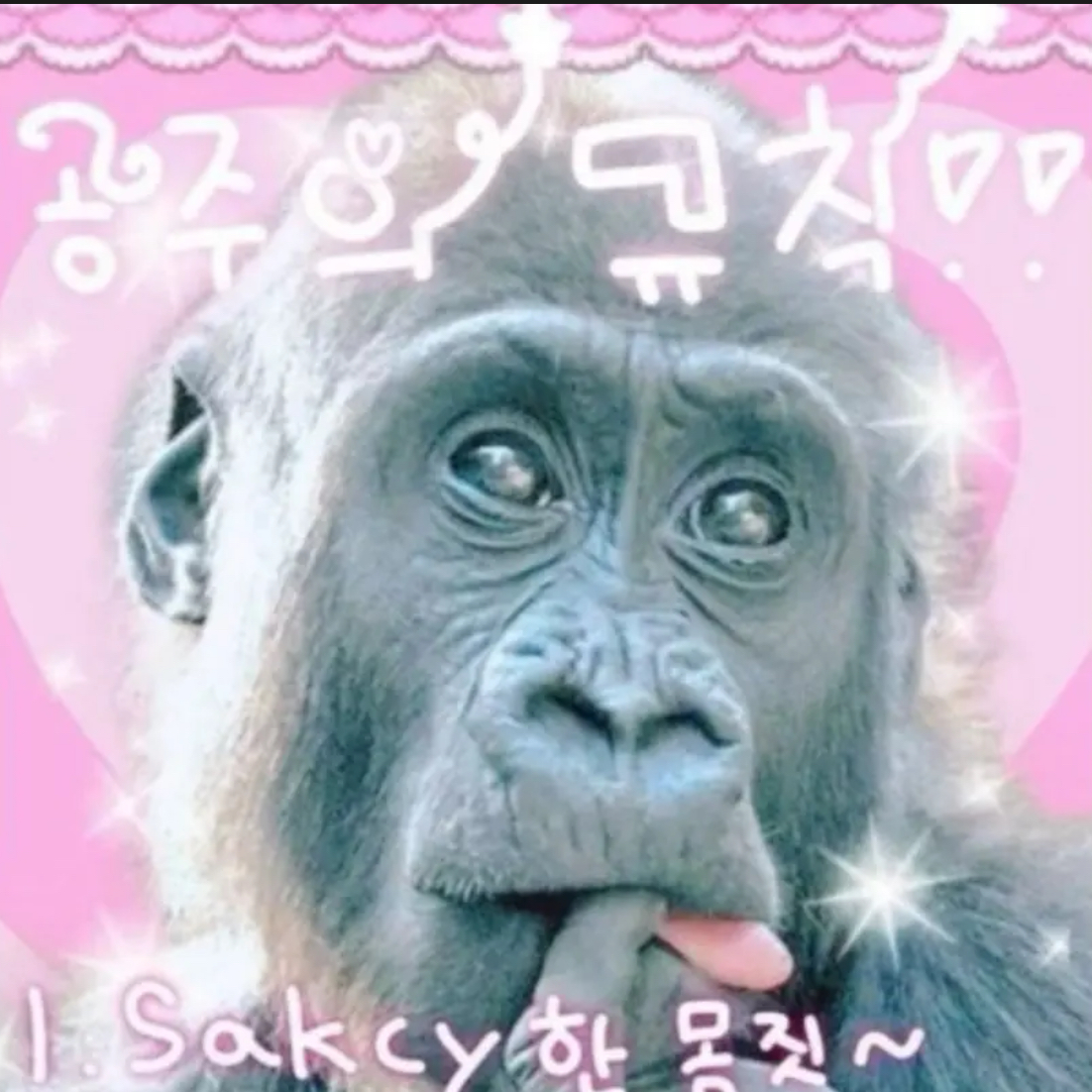 자기가 무당이라는 여우 대표 이미지