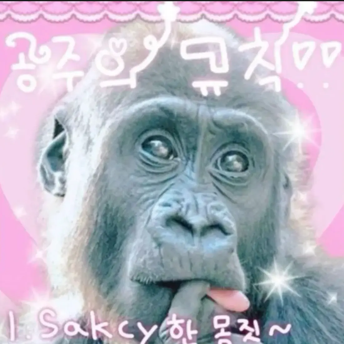 Muniki_YouTuber의 자기가 무당이라는 여우