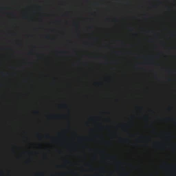 大我