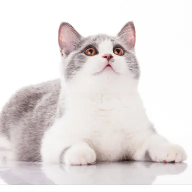 Profile image of 설이
