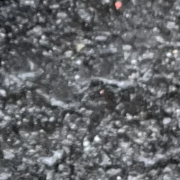 지원