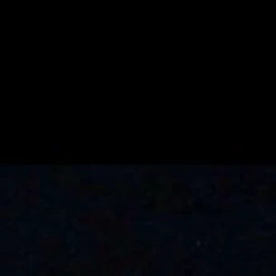 조직