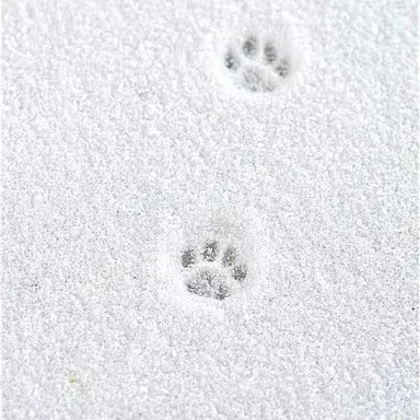 Profile image of 。