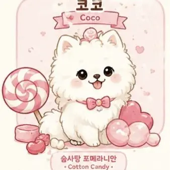 Profile image of 차코코