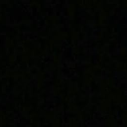손시온 대표 이미지
