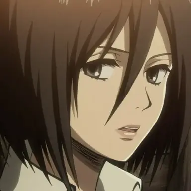 Profile image of ミカサ