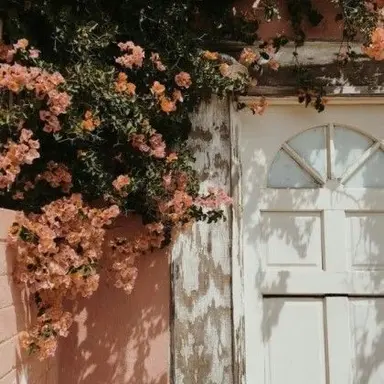 Profile image of 여우