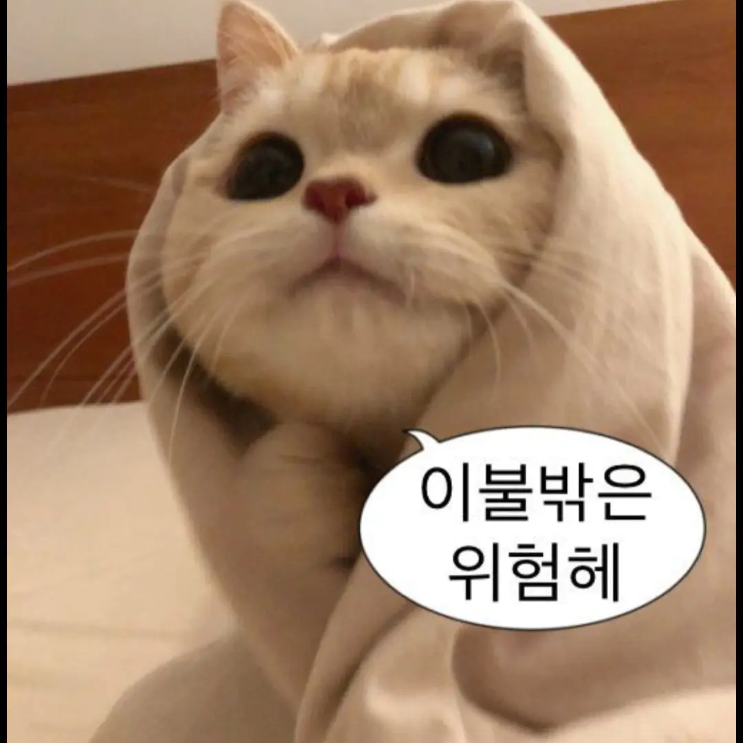 MiniShout5022의 투두조폭