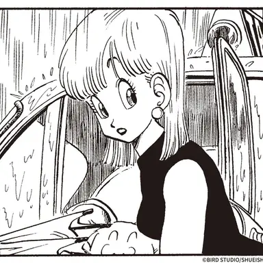 Profile image of Bulma
