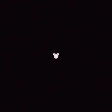 Profile image of 최지우
