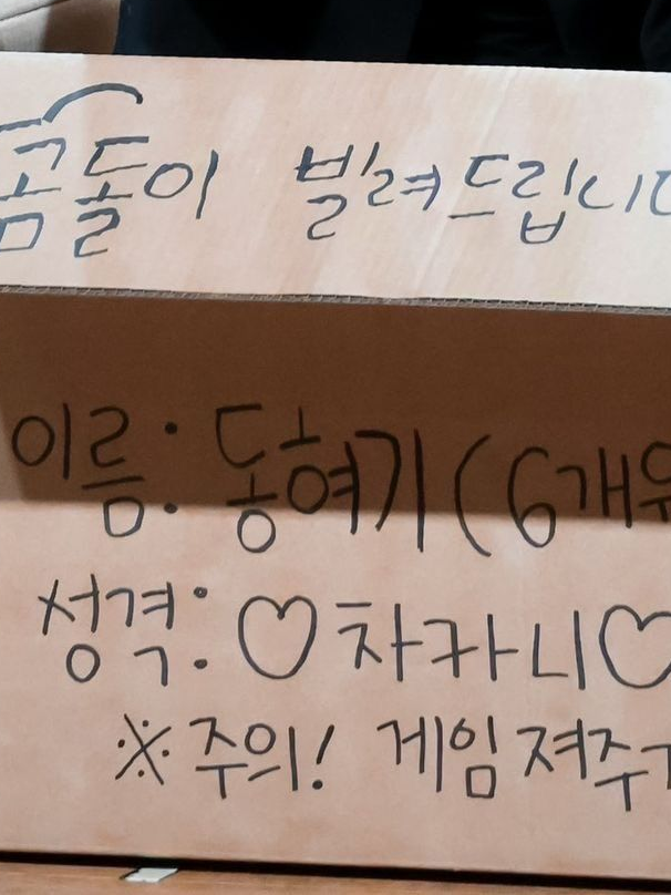 곰돌이 빌려드립니다! 대표 이미지