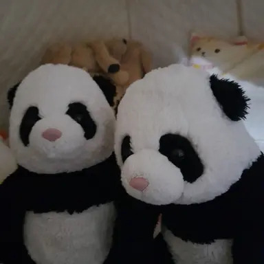 Profile image of 푸바오