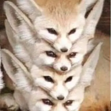 Profile image of 여우