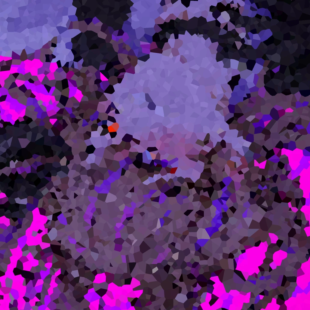 Seible