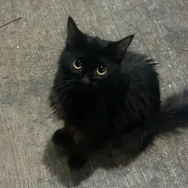 Profile image of 마에다 리쿠