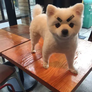 Profile image of 히로세 료